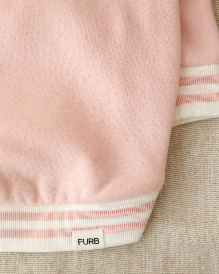 Fleur University Pink Sweatshirt, dog sweatshirt for stylish dogs with pink striped embroidered