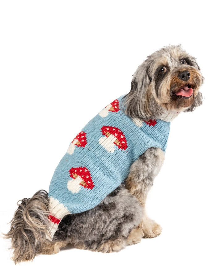 Warm mushroom knit dog sweater for French Bulldogs, Mini Aussies, and Shih Tzus. Perfect for fall and winter walks.