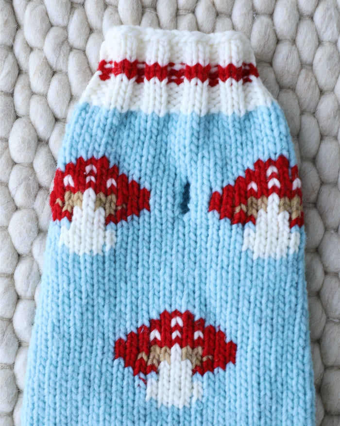Cozy Forest Floof Mushroom Sweater designed for small and medium breeds like Cavaliers, Pugs, and Mini Schnauzers.