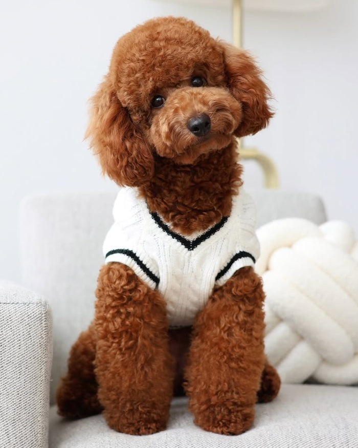 Forty Love Ivory Cable Knit Dog Sweater – cute dog accessory featuring cable knit lace-trimmed