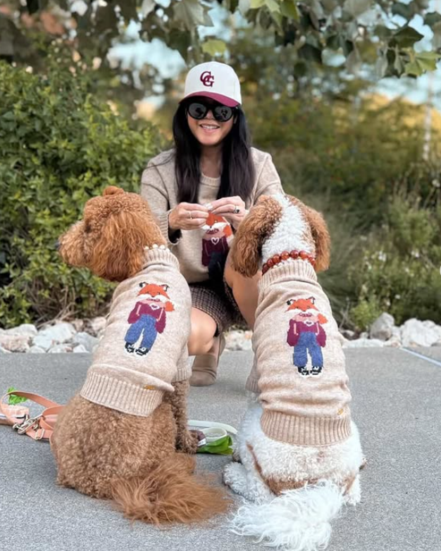Foster the Fox Dog Sweater