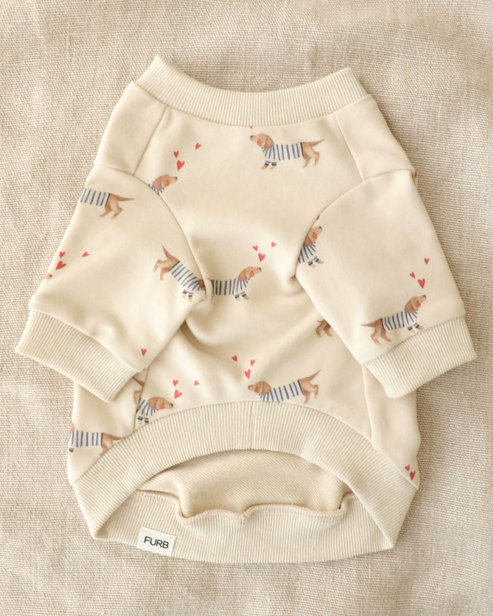 Heart Print dog sweatshirt – Frankie Dachshund Print Dog Sweatshirt