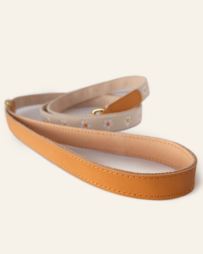 White dog collar and leash set with daisy pattern, perfect for pet owners who love floral accessories
