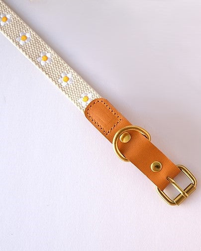 Daisy-patterned dog collar in white, ideal for fresh and vibrant pet accessories