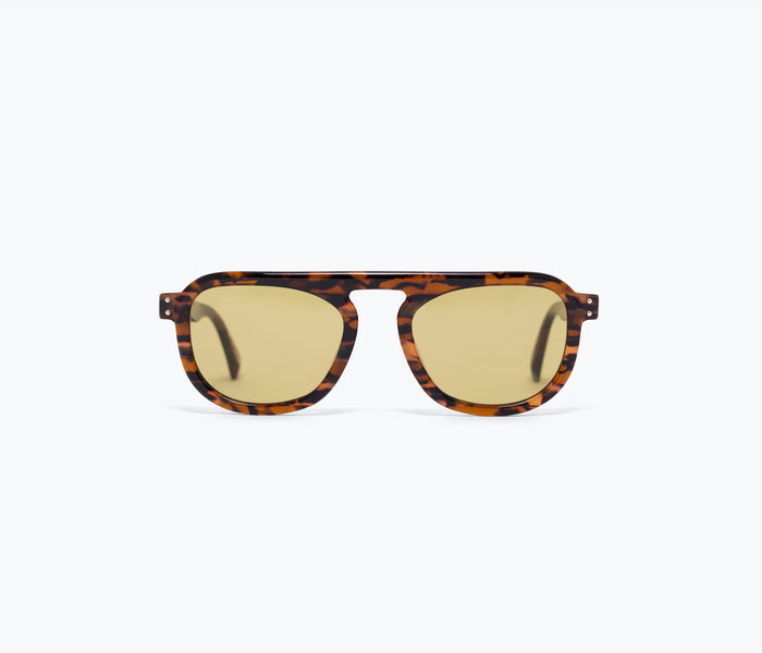 Sardine FS X Stevie sunglasses with tortoise shell frames and dark lenses, shown from the front view.