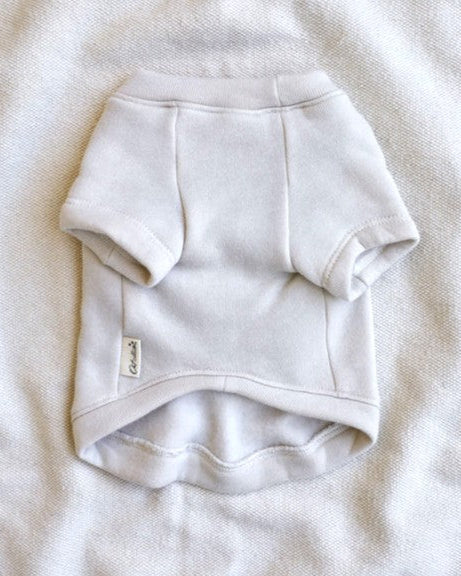 Fun and stylish tiger-themed sweatshirt for playful French Bulldogs, Mini Aussies, and Cavaliers. Cozy for daily wear.. Updated May 2026.