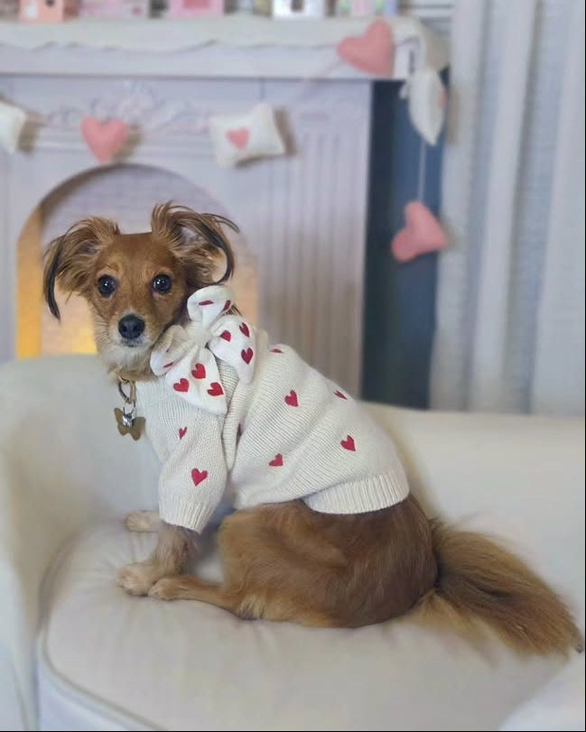 Fur-ever Yours Heart Dog Sweater