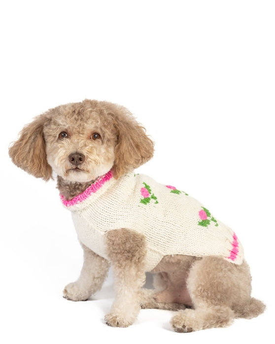 Vintage-inspired rose knit dog sweater with a cozy feel, great for cooler days, suited for shih tzus and Frenchies