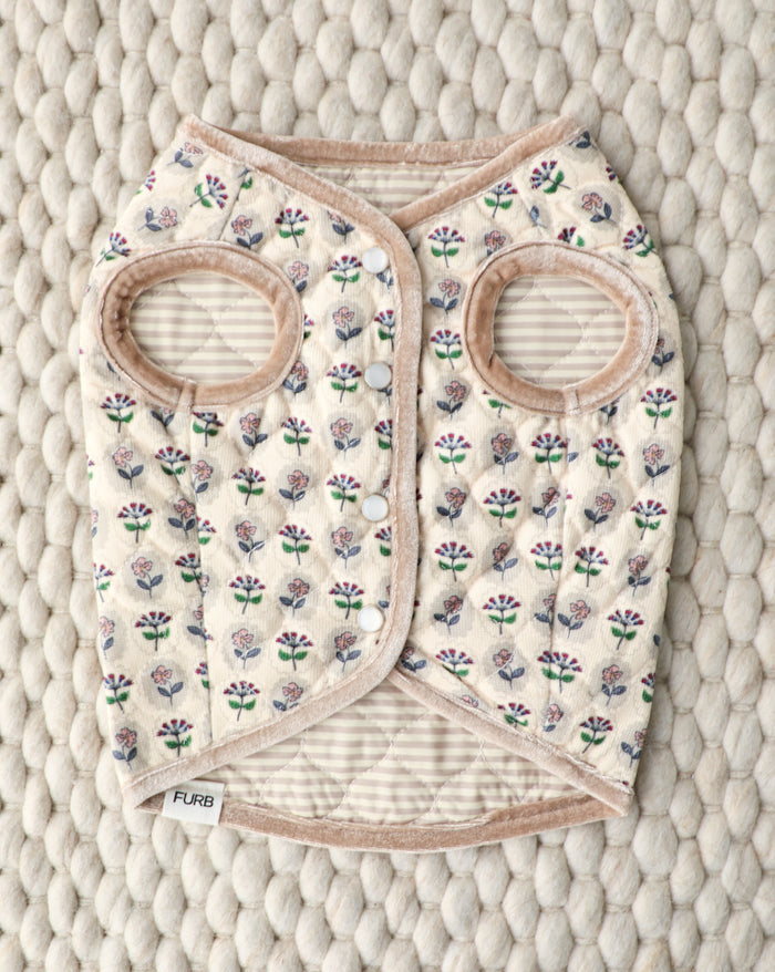 Fur-get Me Not floral quilted dog vest with lightweight insulation, perfect for cool weather walks on French Bulldogs, Dachshunds, Cocker Spaniels, and small dogs