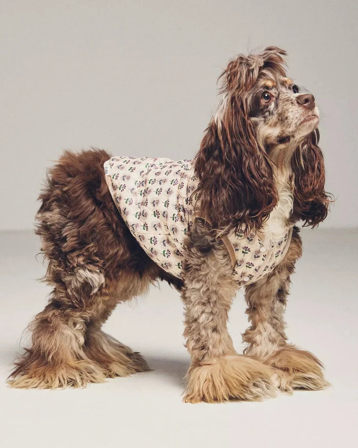 Fur-get Me Not Floral Quilted Dog Vest