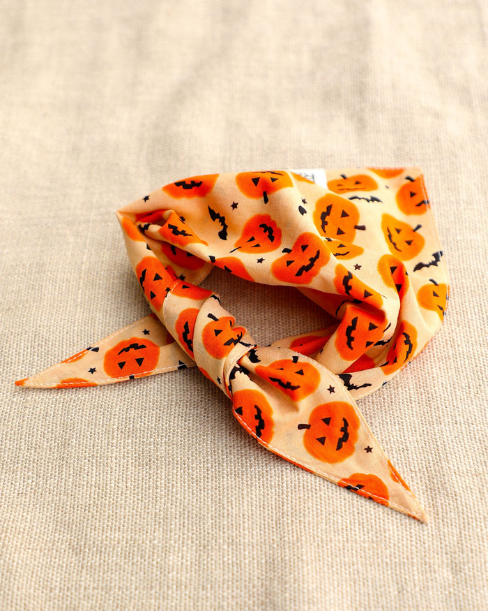 Pumpkin dog bandana – Fur-ight Night Pumpkin Bandana