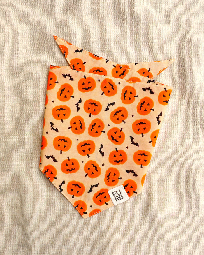 Fur-ight Night Pumpkin Bandana – stylish dog bandana in pumpkin