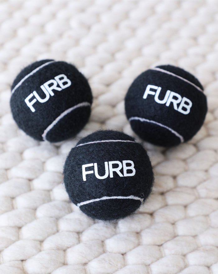 modern black tennis ball dog toy bounce fetch play pet accessory