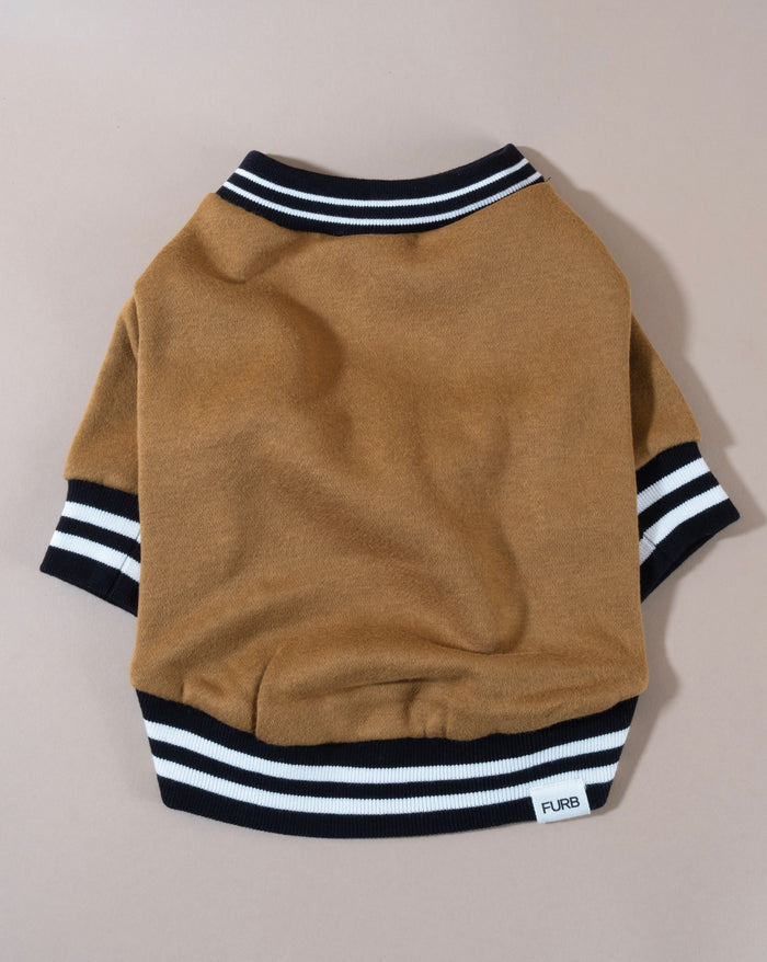 Brown dog sweatshirt with varsity lettering, perfect for small to medium dogs like Miniature Schnauzers