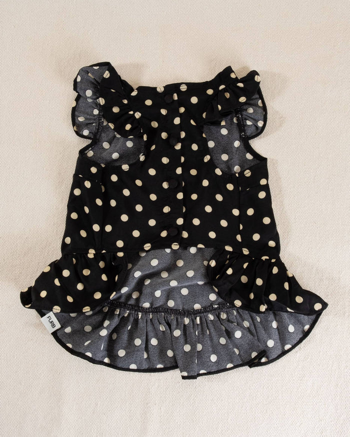 ivory polka dot satin dog dress with ruffled sleeves and hem, elegant pet outfit close-up