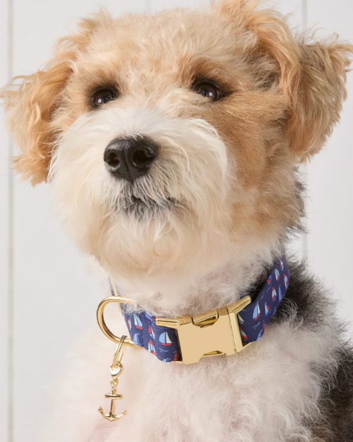 Close-up view of gold anchor charm for dog collar, designed for stylish pet accessories . Updated June 2026.