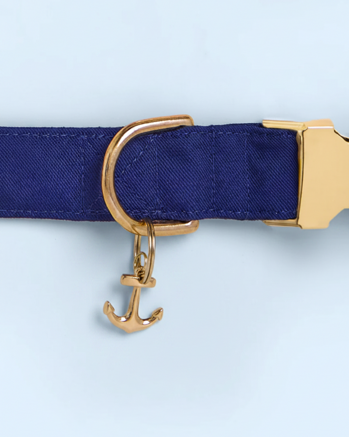 Stylish anchor charm accessory for dog collars, great for coastal-inspired pet looks . Updated June 2026.