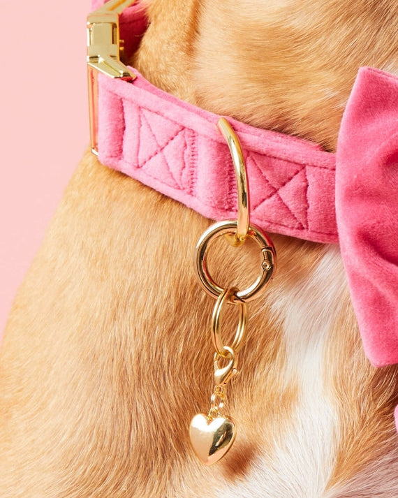 Heart shaped gold charm for dog collars adding elegant flair and personality, lightweight accessory ideal for fashionable pups