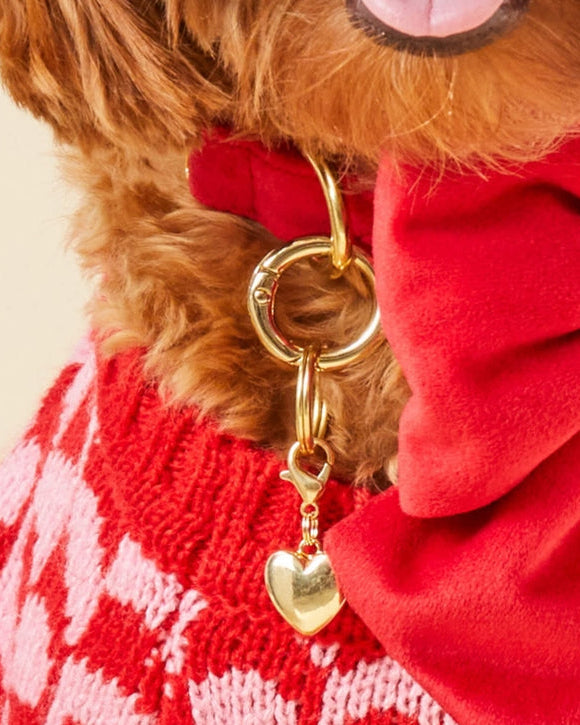 Gold dog collar charm with heart design for stylish everyday wear, perfect accent piece for Frenchies, Pugs, and small companion dogs