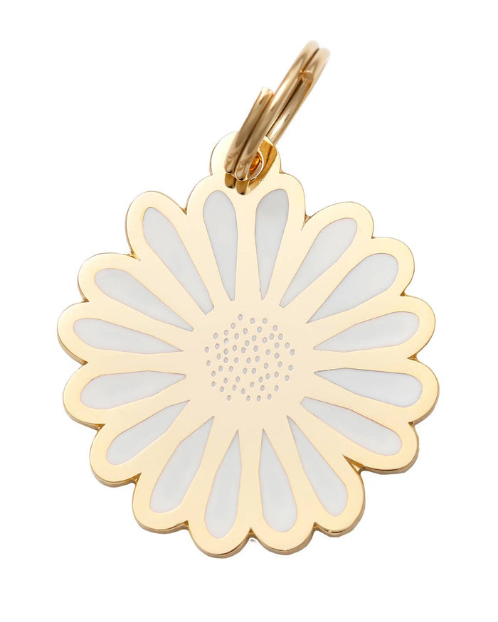 Gold and white daisy dog collar charm floral enamel pet accessory gold plated brass charm