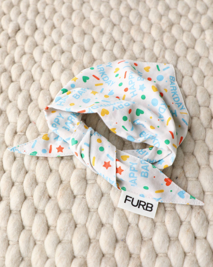 Birthday bandana for small-medium dogs, stylish and playful for Pomeranians, Cavaliers, and Shih Tzus.