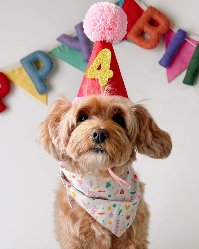 Happy Barkday Pink Dog Bandana for small-medium breeds. Cute and festive for Pugs, Mini Schnauzers, and Cocker Spaniels.