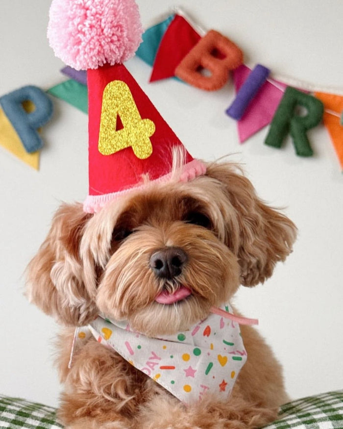 Small-medium dog birthday bandana in pink. Ideal for Pugs, Cocker Spaniels, and Mini Schnauzers.