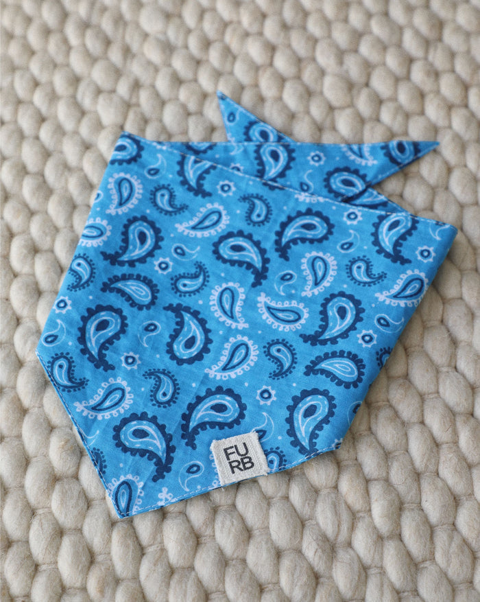 Classic blue paisley dog bandana with vintage print – ideal for Cocker Spaniels or medium-sized dogs