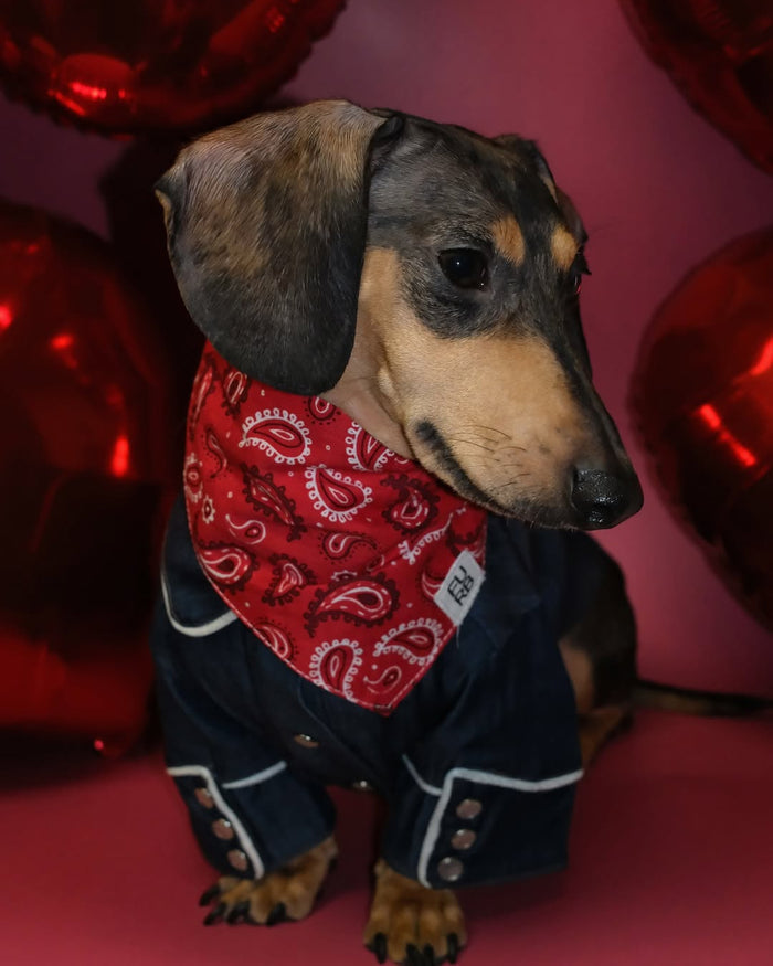 red paisley dog bandana classic cotton pet bandana front view