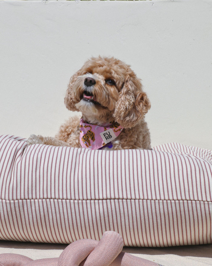 Hello Sailor Rose Striped Dog Bed, Cover Only
