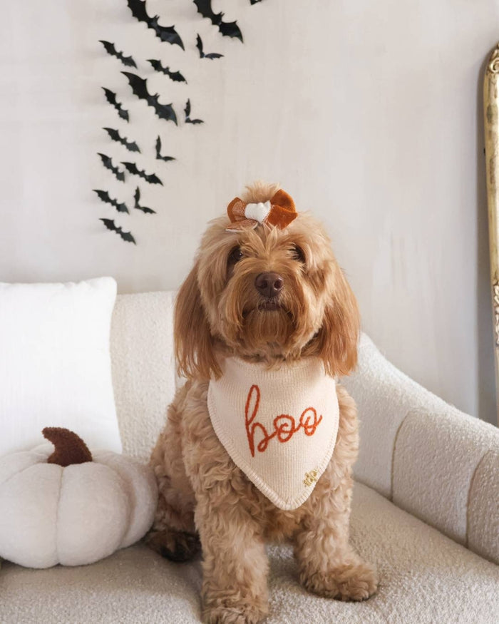 Pumpkin Embroidered dog bandana – Here for the Boos Dog Bandana