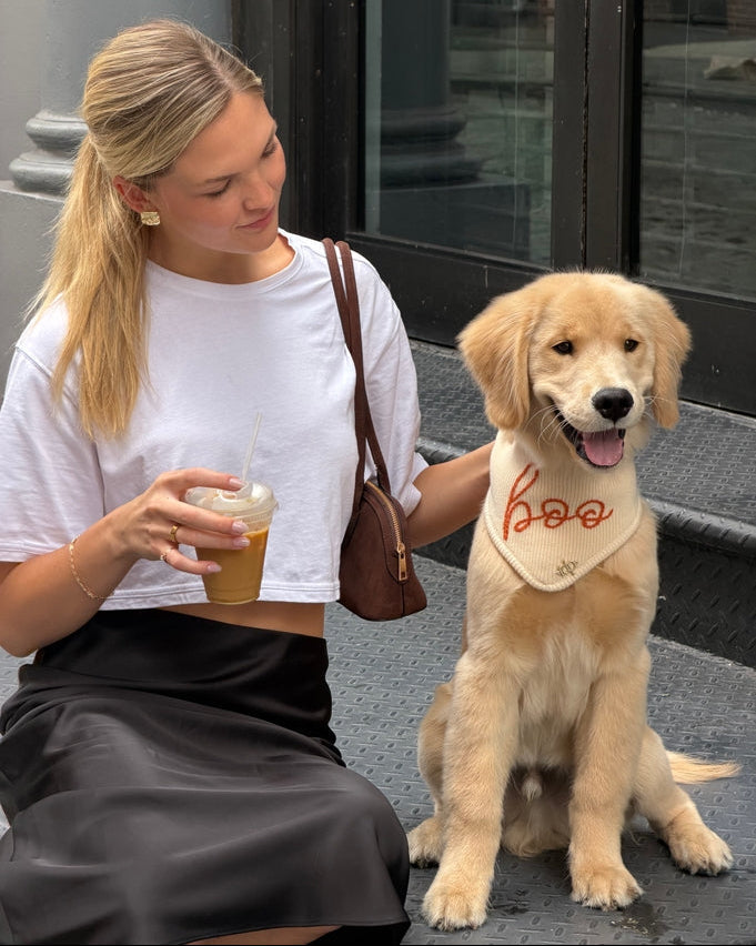 Here for the Boos Dog Bandana – stylish dog bandana in pumpkin