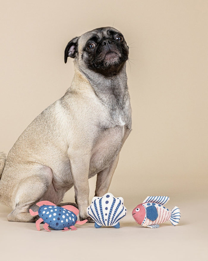 Fun mini pet toy set great for interactive play and enrichment . Updated May 2026.