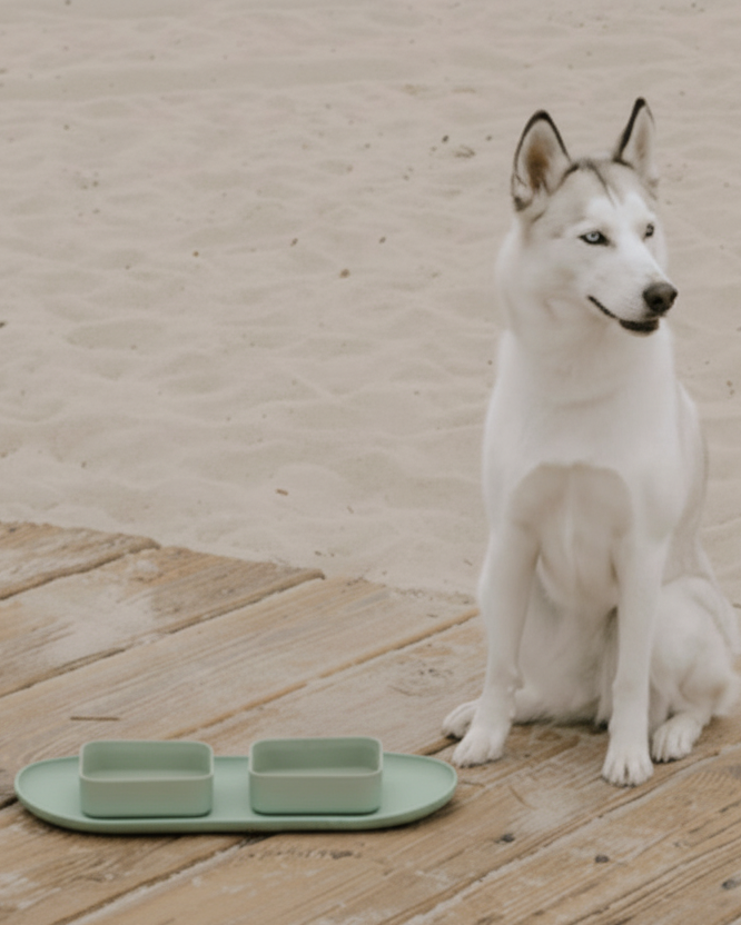 green silicone dog bowls with matching mat, durable non toxic feeding set designed for mess free meals