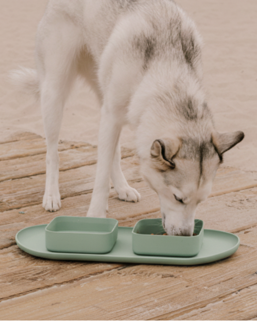 stylish dog feeding station with square bowls and spill resistant mat, easy clean pet bowl set