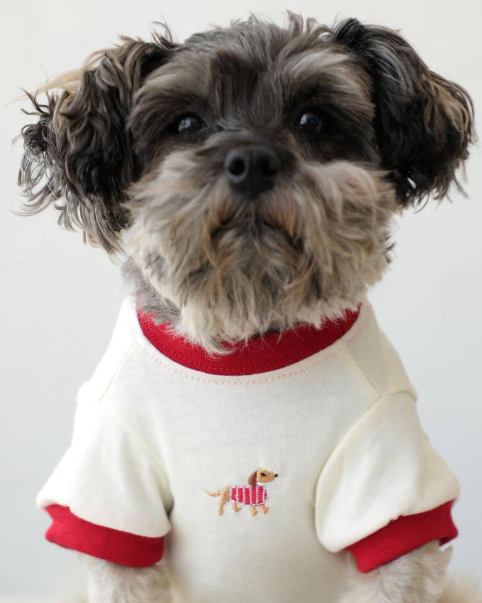 Striped Embroidered dog accessory – Hot Diggity Dachshund Ringer Tee