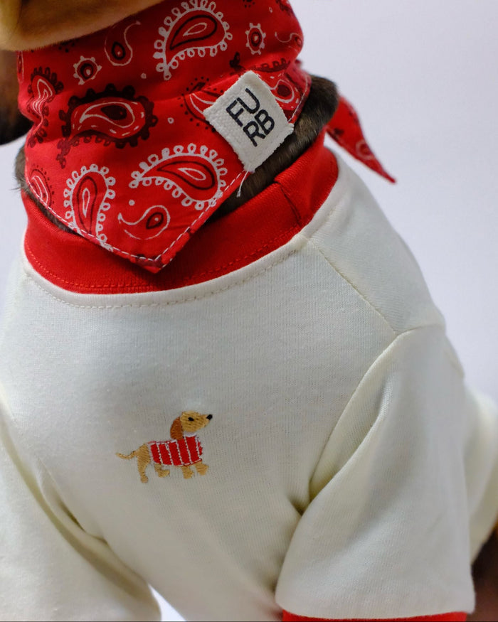 Striped Embroidered dog accessory – Hot Diggity Dachshund Ringer Tee