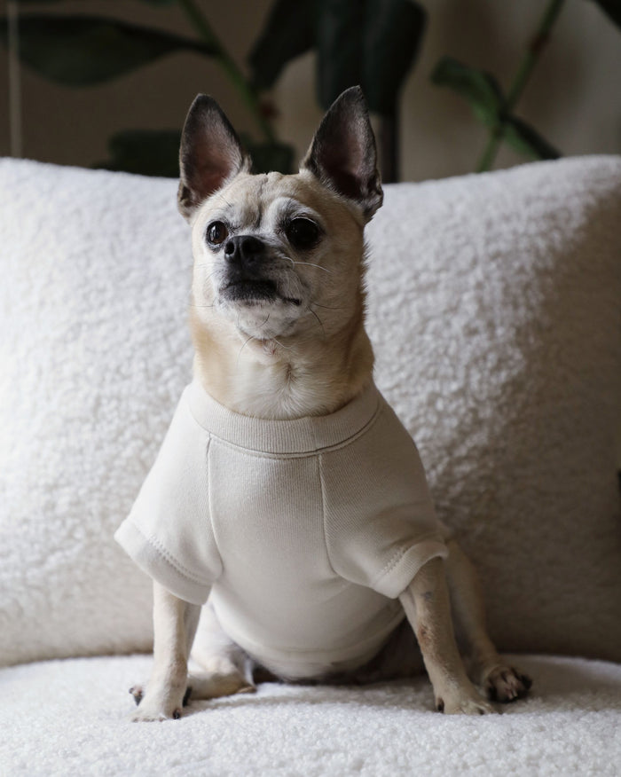 Howdy Pawtner Dog Sweatshirt beagle shirts for sale
