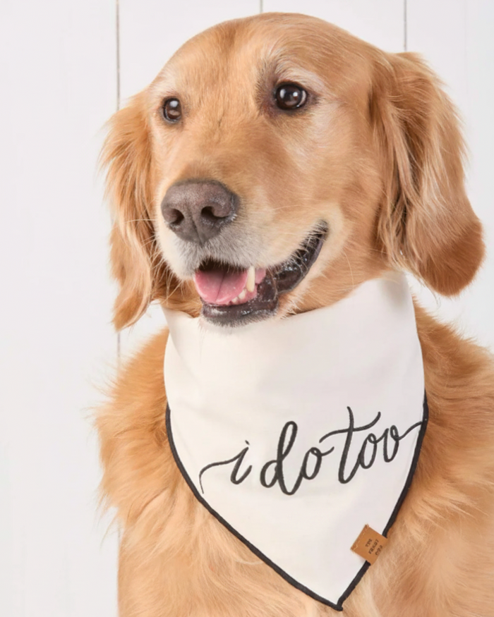 Wedding themed dog bandana with embroidered “I Do Too” detail for special occasions . Updated June 2026.