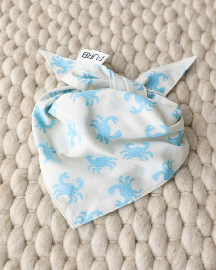 In A Pinch Blue Dog Bandana for small-medium breeds like Pugs, Mini Schnauzers, and Cocker Spaniels. Cute for beach or summer outings.