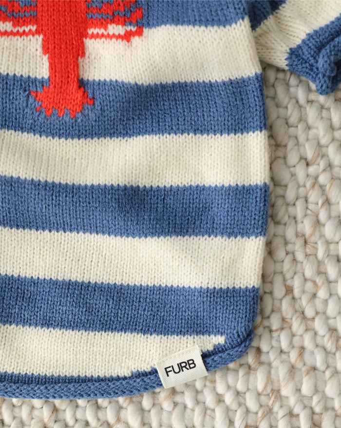 soft knit dog sweater with coastal inspired design, warm and fashionable pet clothing for cooler days