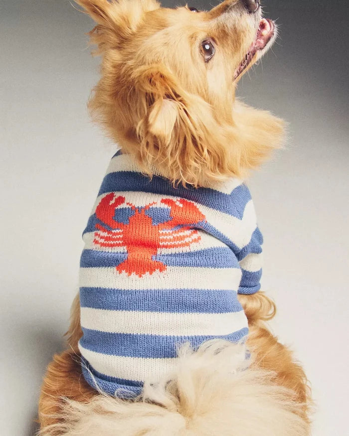 In A Pinch Blue + White Striped Sweater