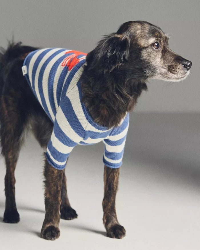 In A Pinch Blue + White Striped Sweater