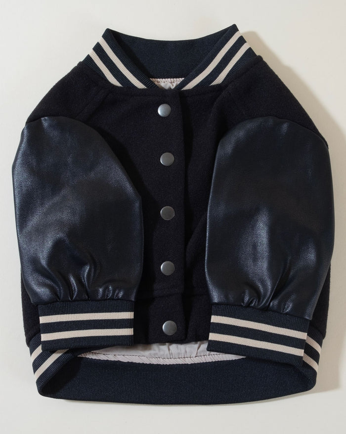 Black leather letterman jacket for dogs, combining style and comfort for your pet.