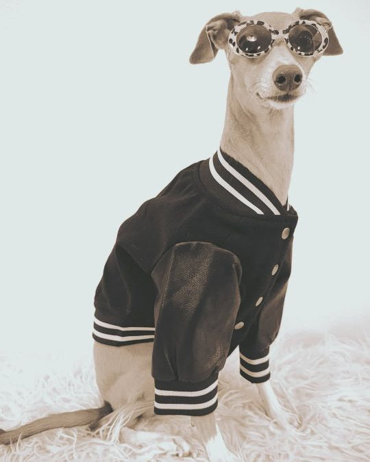 Leader of the Pack Black Letterman Jacket