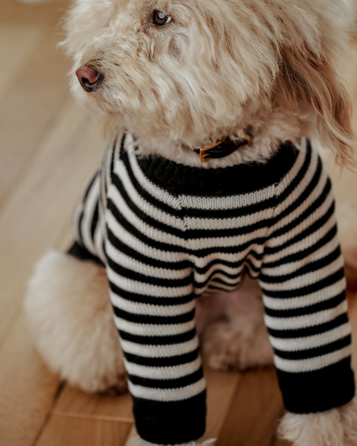 Like A Bandit Black Striped Sweater Product Image Detail. poodle in sweater