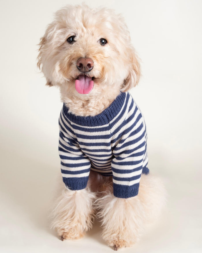 blue striped dog sweater knit striped pet sweater front view