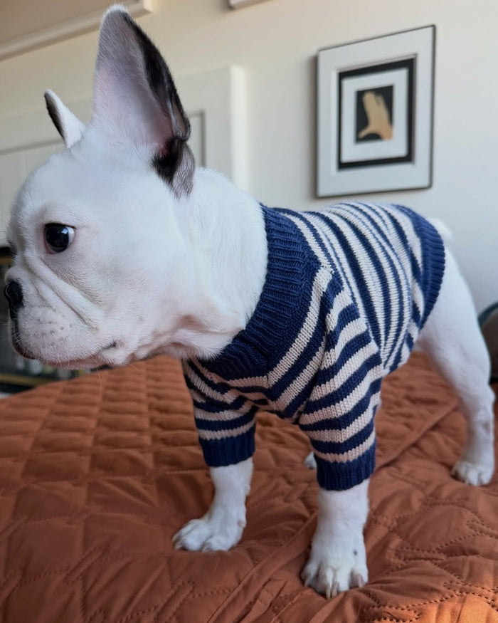 blue striped dog sweater side view pet apparel