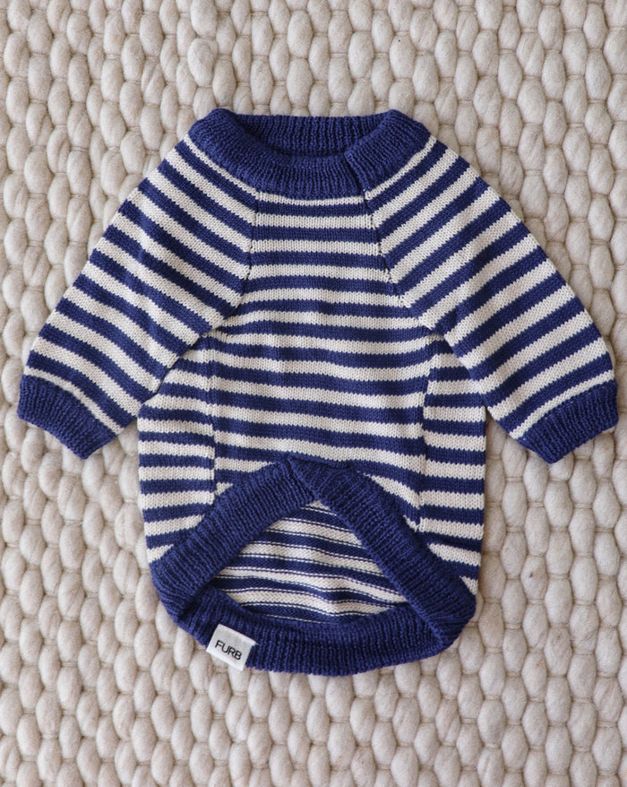 blue striped dog sweater customer social photo