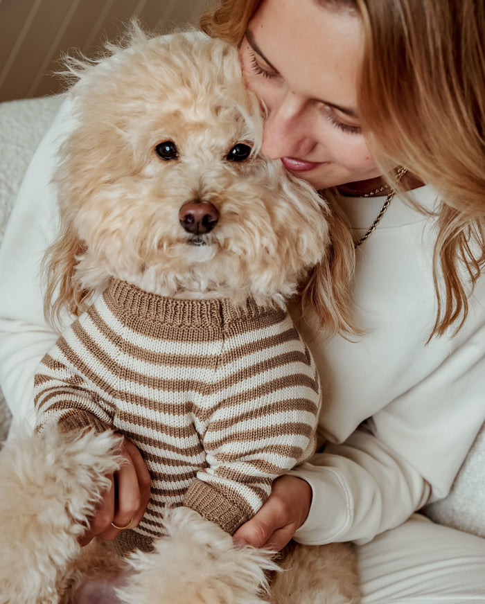 Like A Bandit Nutmeg Striped Sweater Product Image. small chihuahua sweaters